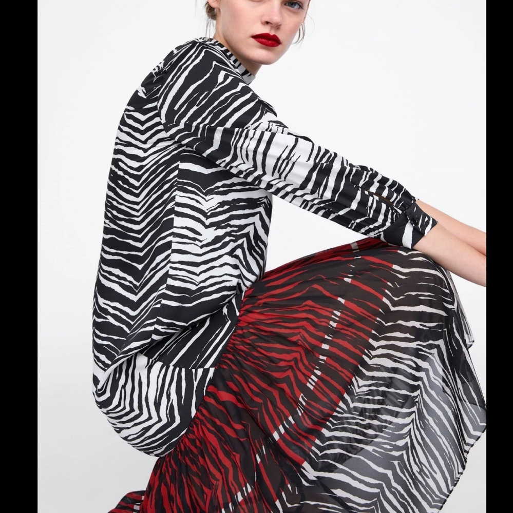 Zara super chic dress